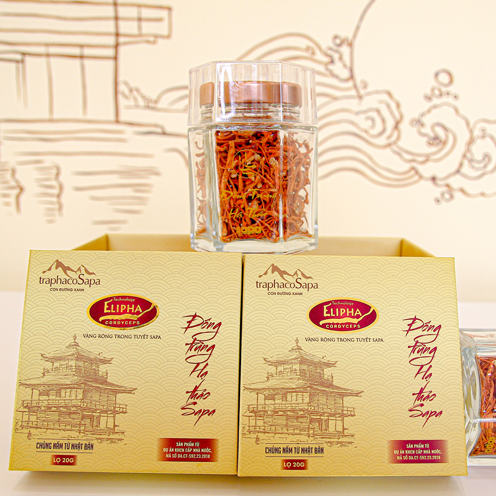 Đông Trùng Hạ Thảo Sapa Khô Sấy Lạnh 20Gr Chính Hãng TraphacoSapa
