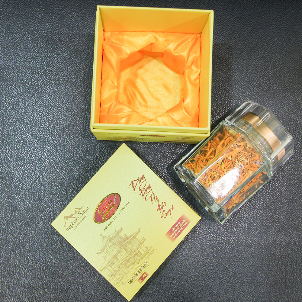 Đông Trùng Hạ Thảo Sapa Khô Sấy Lạnh 20Gr Chính Hãng TraphacoSapa