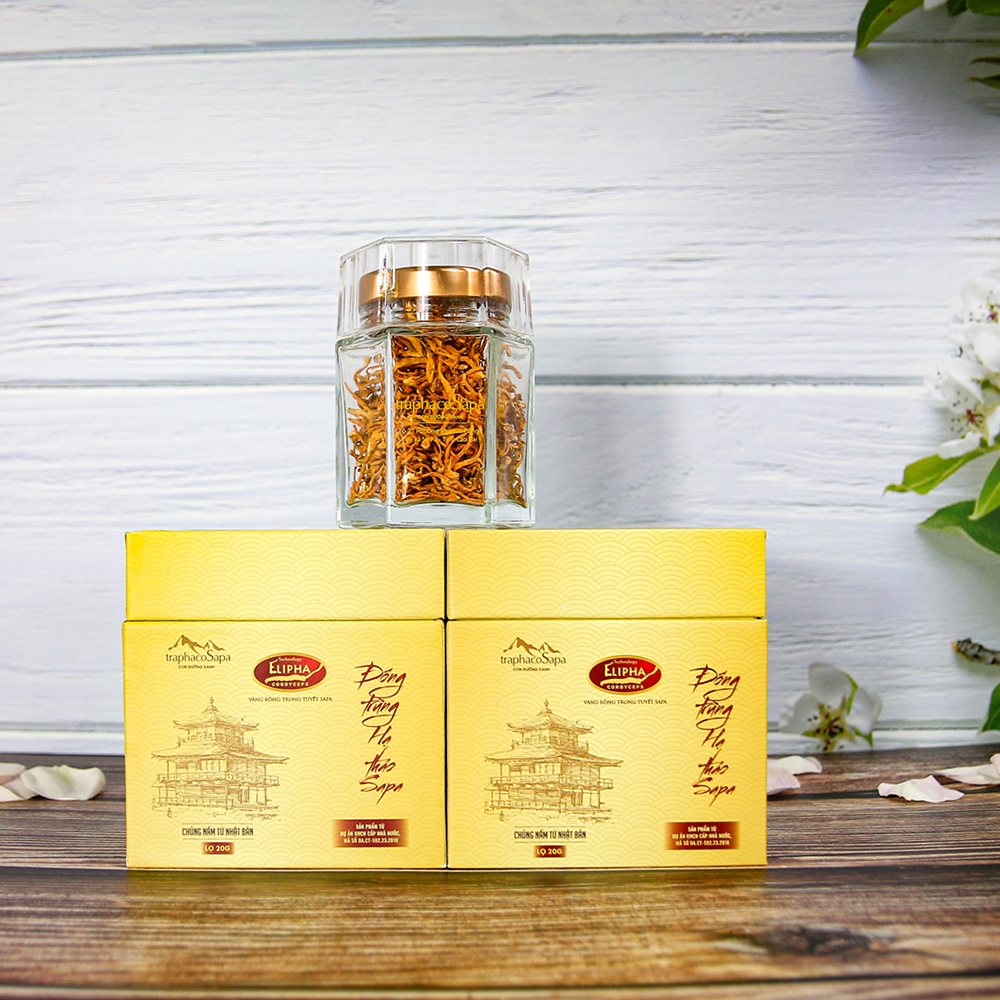 Đông Trùng Hạ Thảo Sapa Khô Sấy Lạnh 20Gr Chính Hãng TraphacoSapa