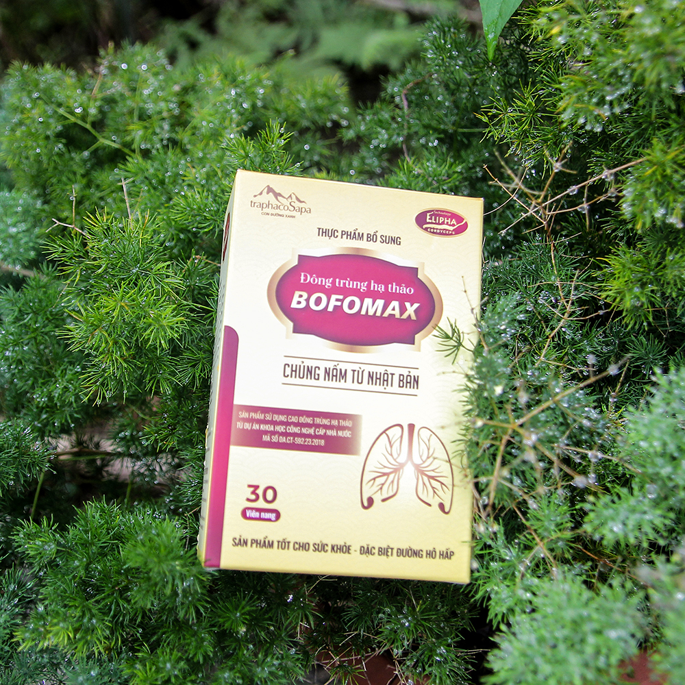 Viên Uống Bổ Phổi Đông Trùng Hạ Thảo Bofomax TraphacoSapa