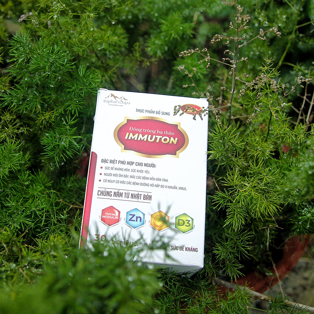Viên Uống Tăng Đề Kháng Chống Virus Đông Trùng Hạ Thảo Immuton TraphacoSapa