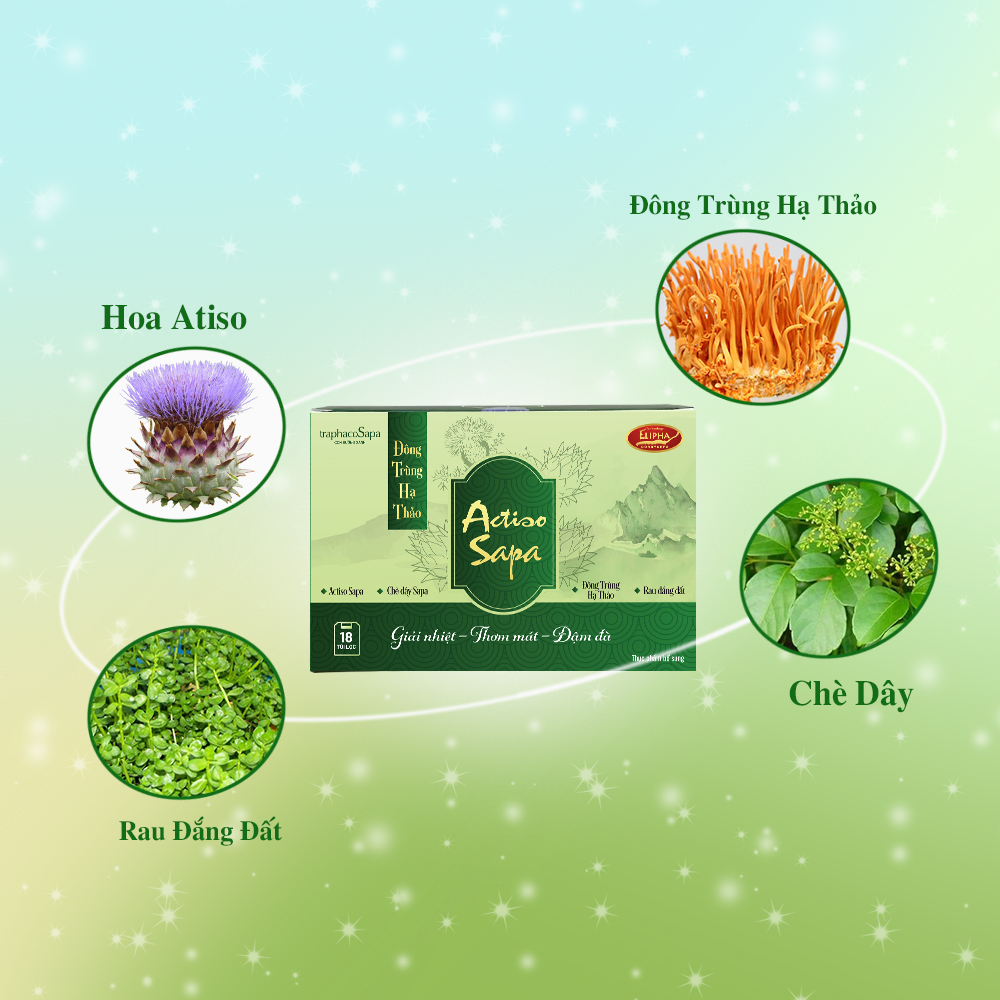 Đông Trùng Hạ Thảo Actiso Sapa