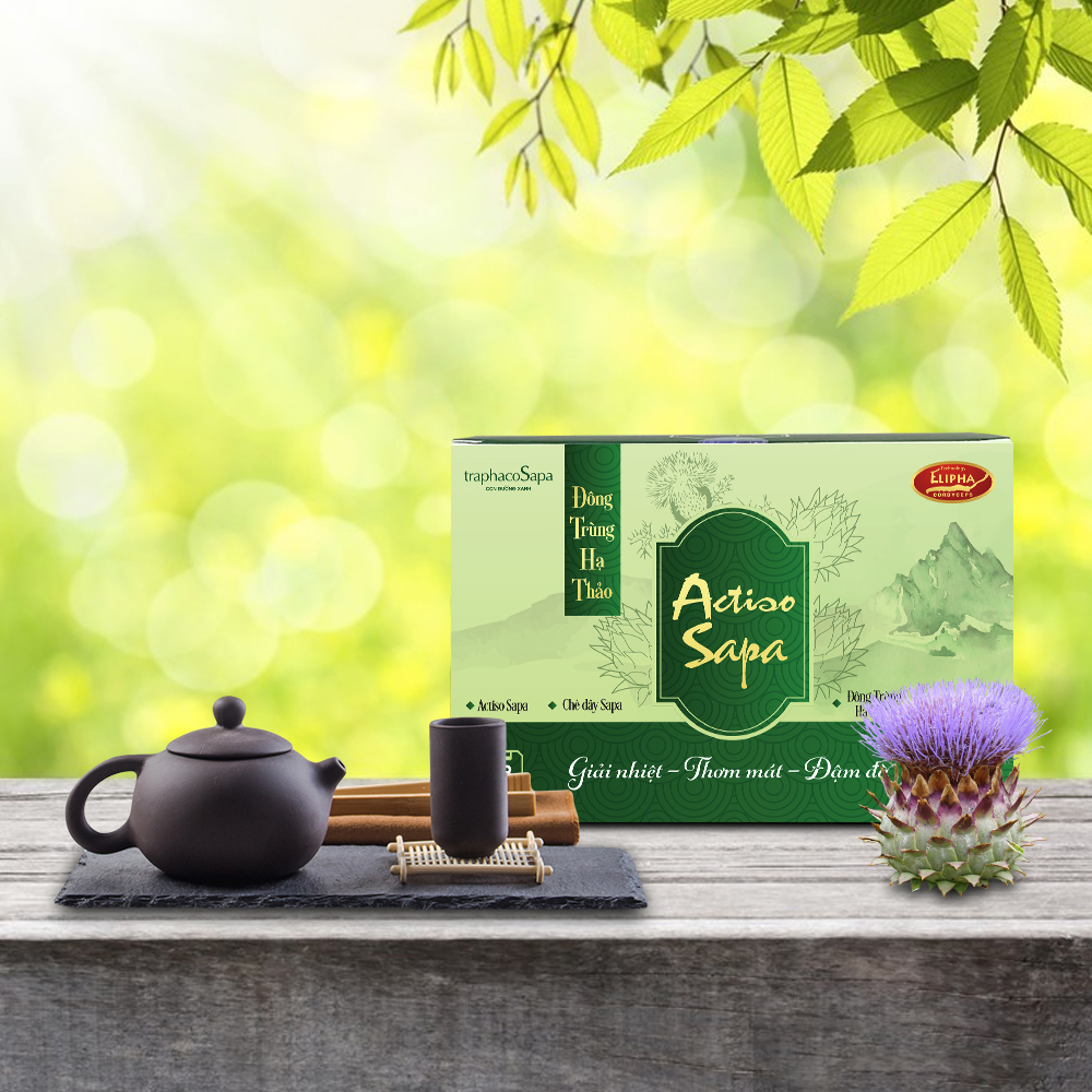 Đông Trùng Hạ Thảo Actiso Sapa