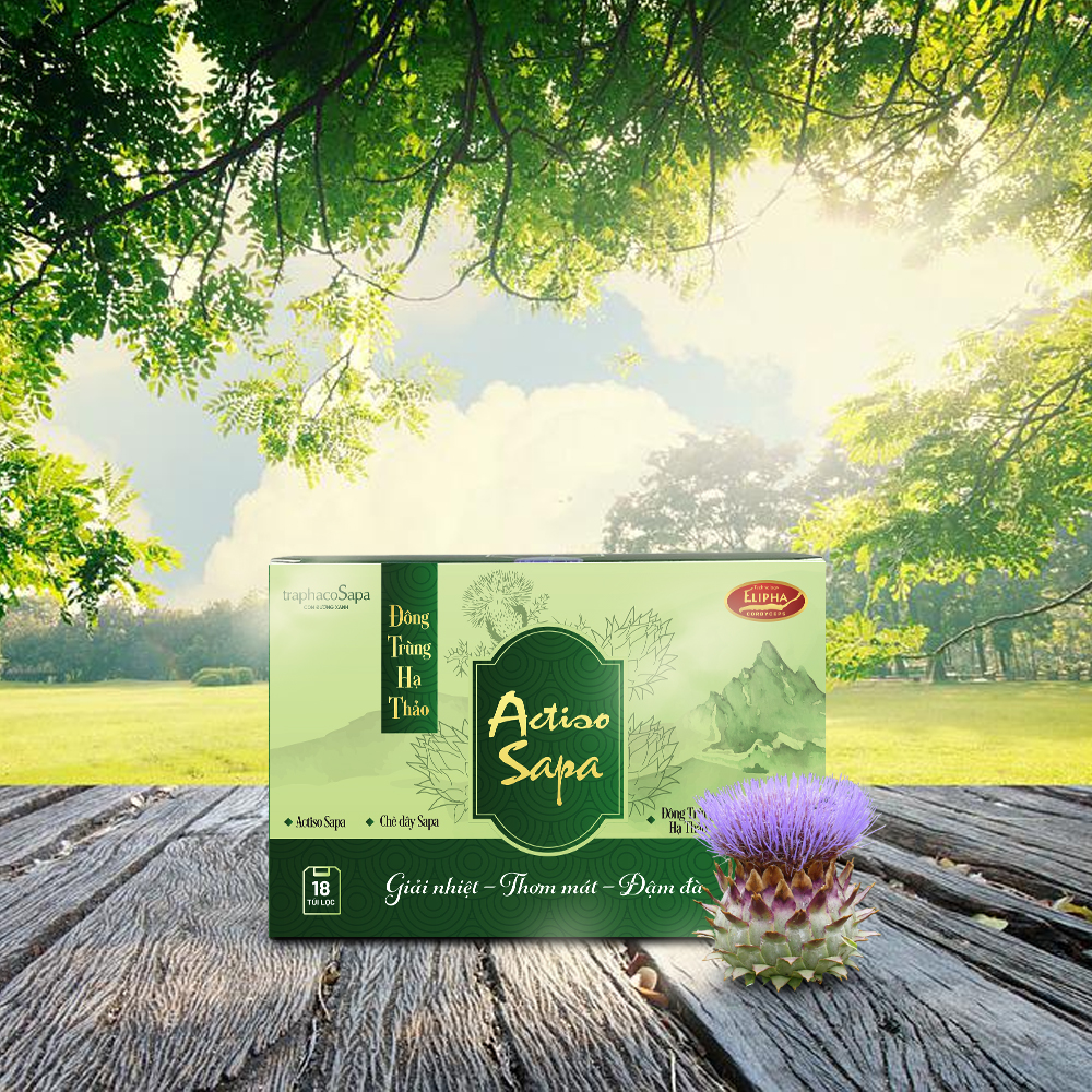 Đông Trùng Hạ Thảo Actiso Sapa