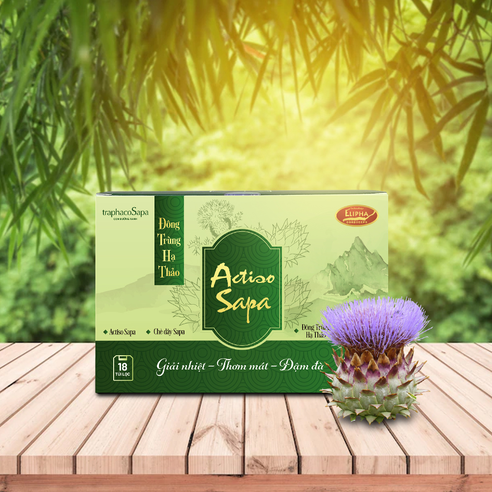 Đông Trùng Hạ Thảo Actiso Sapa