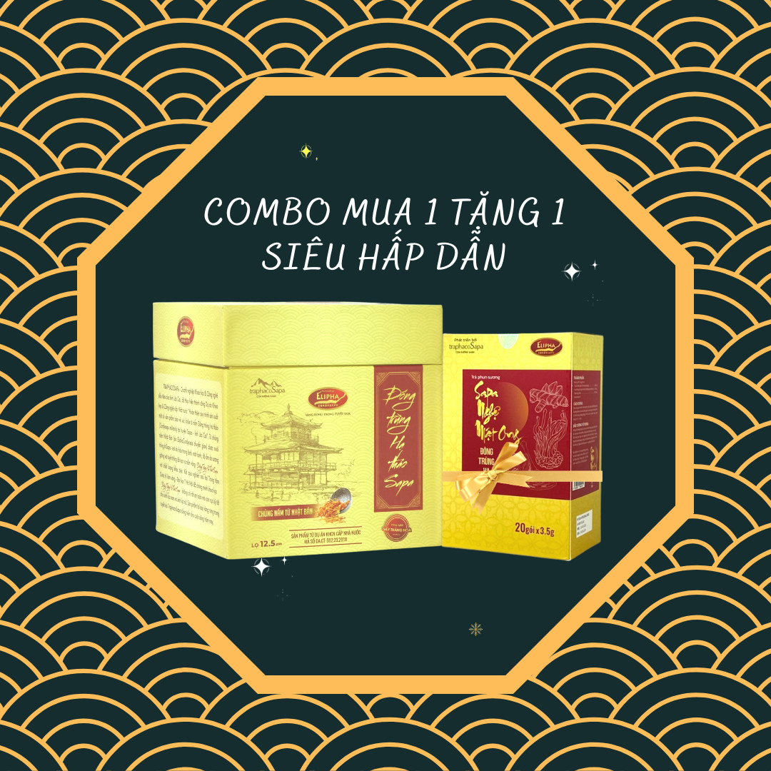 Combo Đông Trùng Hạ Thảo Sấy Khô Thăng Hoa - Chính Hãng Traphacosapa