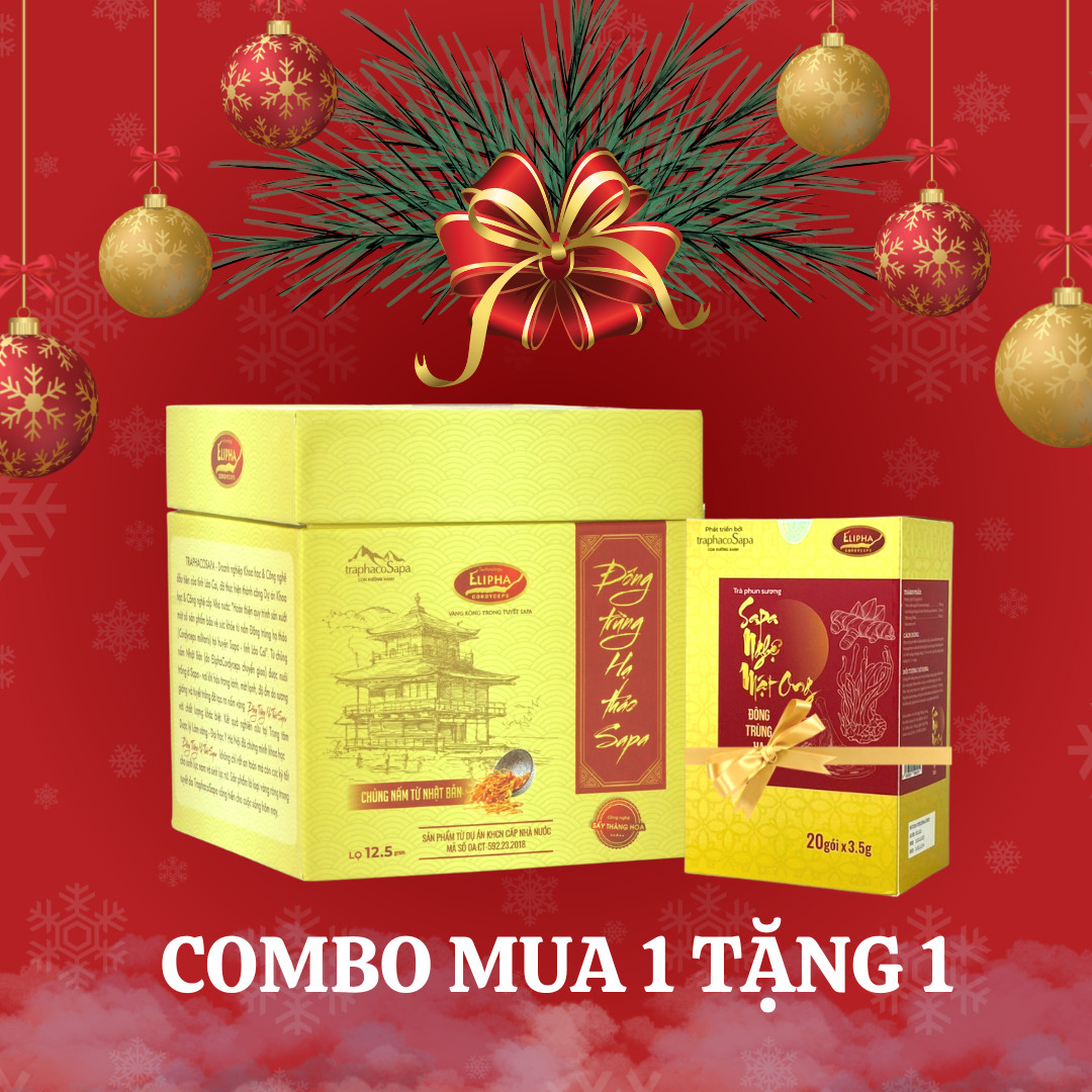 Combo Đông Trùng Hạ Thảo Sấy Khô Thăng Hoa - Chính Hãng Traphacosapa