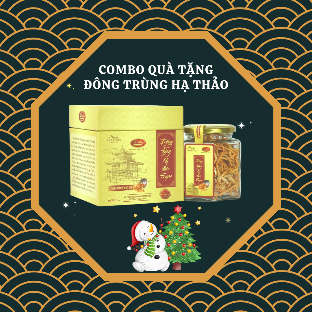 Combo Đông Trùng Hạ Thảo Sấy Khô Thăng Hoa - Chính Hãng Traphacosapa