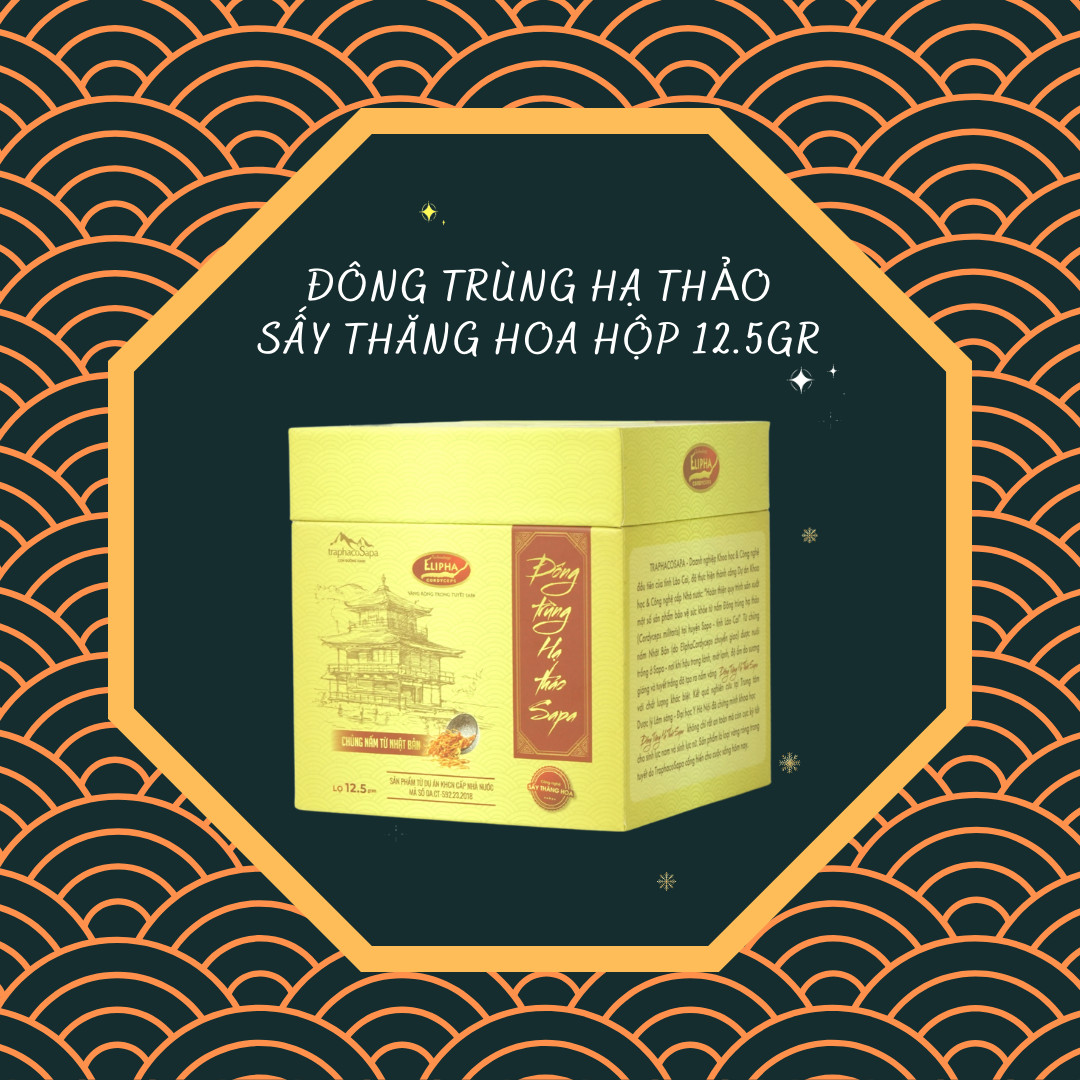 Combo Đông Trùng Hạ Thảo Sấy Khô Thăng Hoa - Chính Hãng Traphacosapa