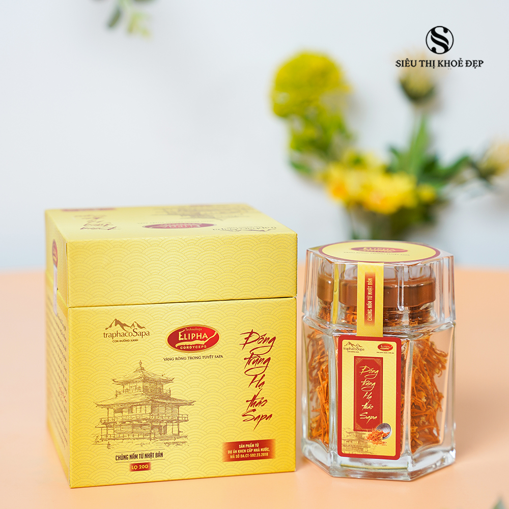 Đông Trùng Hạ Thảo Sapa Khô Sấy Lạnh 20Gr Chính Hãng TraphacoSapa
