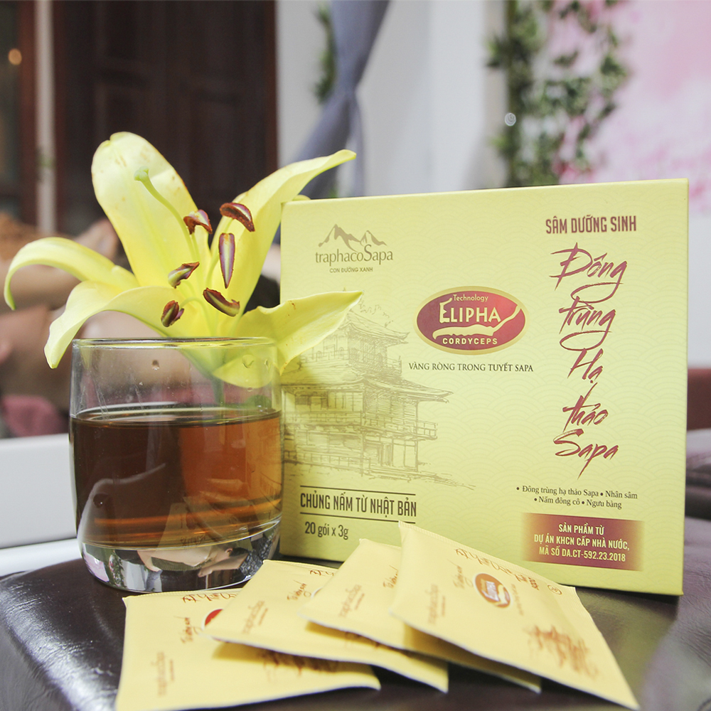 Sâm Dưỡng Sinh Đông Trùng Hạ Thảo Sapa
