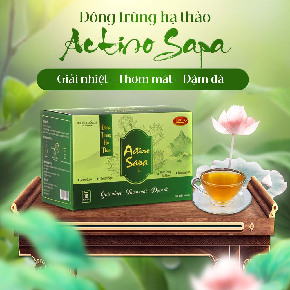 Đông Trùng Hạ Thảo Actiso Sapa