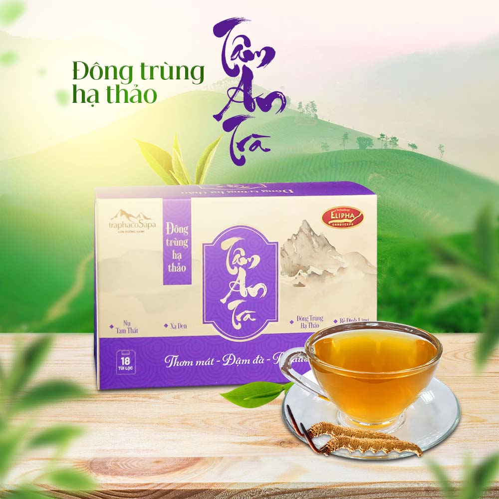 Trà Đông Trùng Hạ Thảo Tâm An