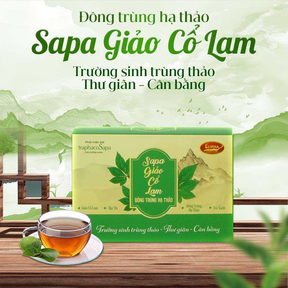 Trà Giảo Cổ Lam Đông Trùng Hạ Thảo Sapa