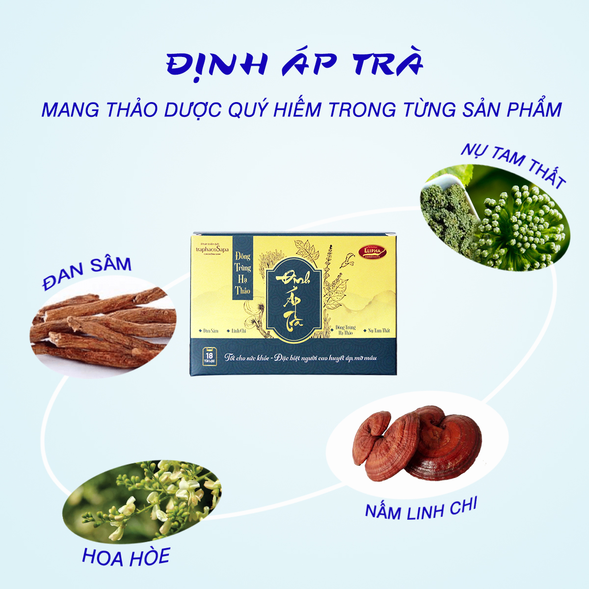 BIG SALE Đông Trùng Hạ Thảo Định Áp ƯU ĐÃI 70K